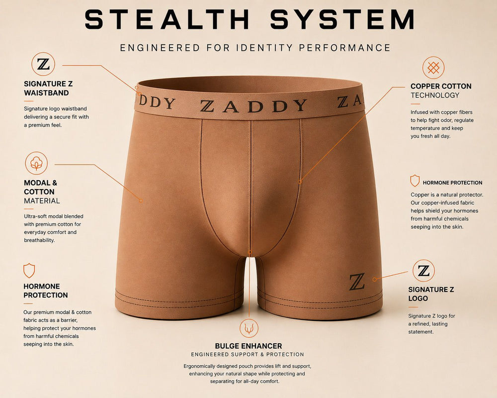 Stealth System